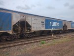 RUMO HPT-033374-3